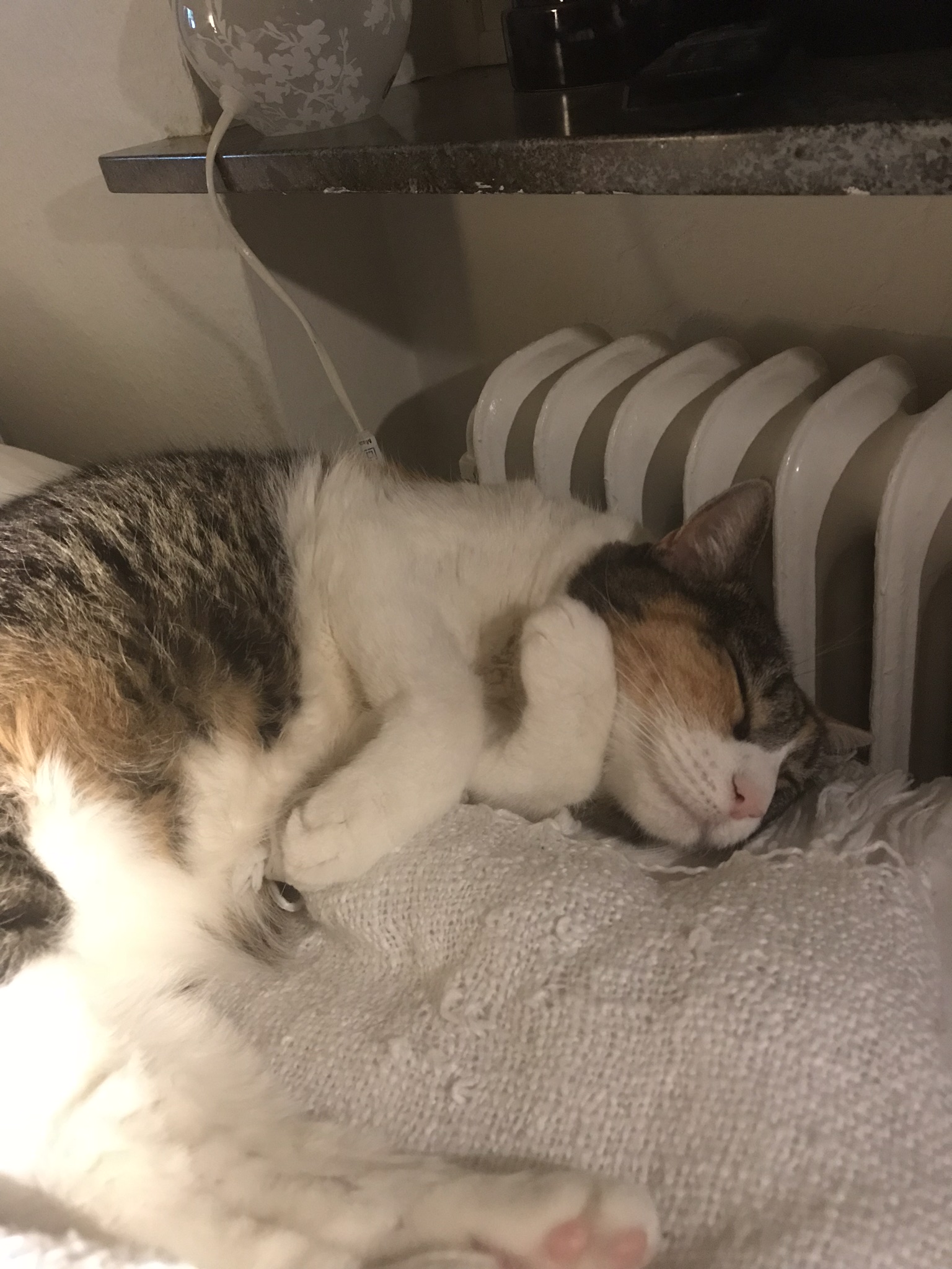 A cat sleeping on a bed close to a radiator