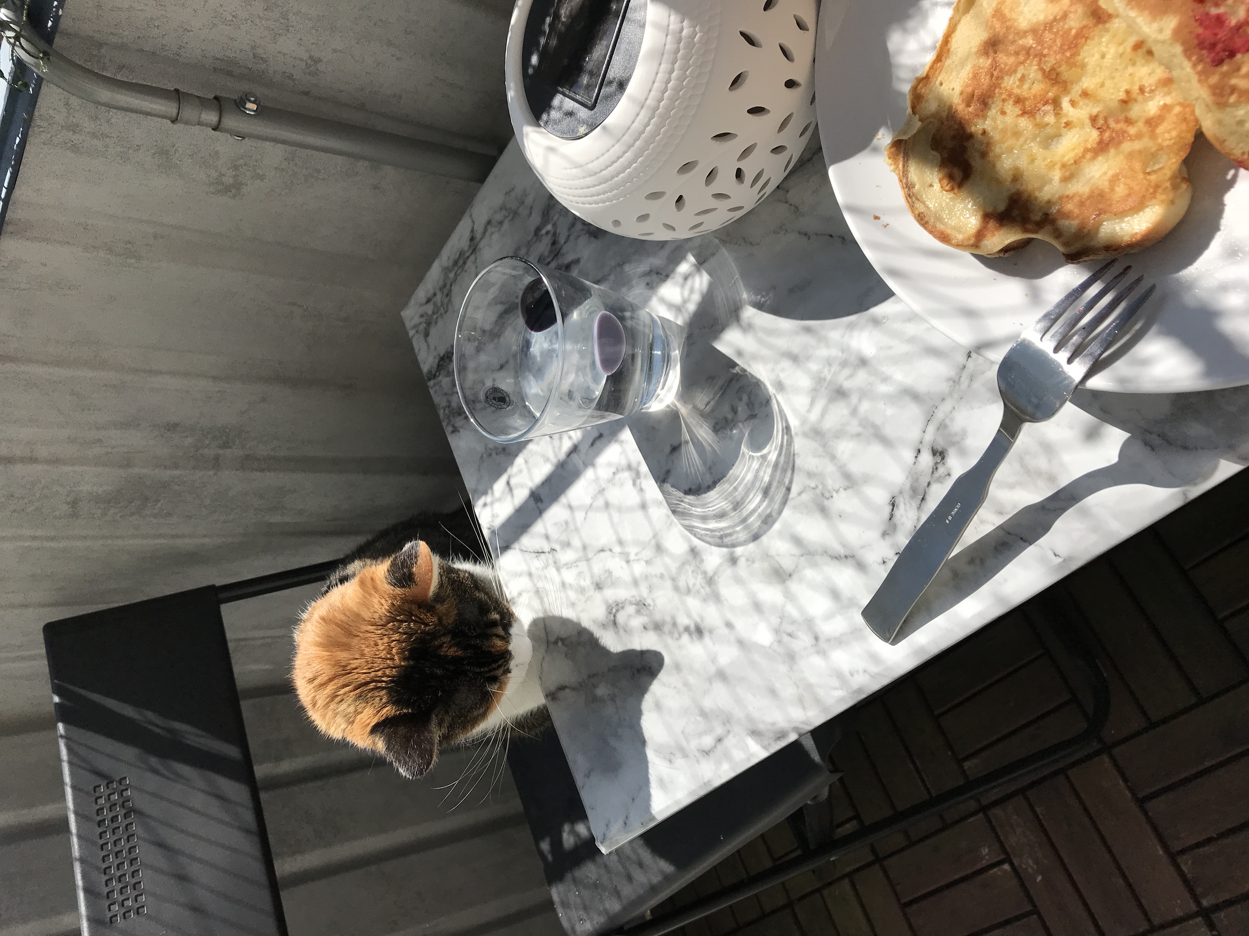 A cat on a chair at a small table on a balcony